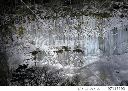 照亮神秘而美麗的冰幕(長野縣木曾町白川冰柱) 照亮神秘而美麗的冰幕(長野縣木曾町白川冰柱) 97117693