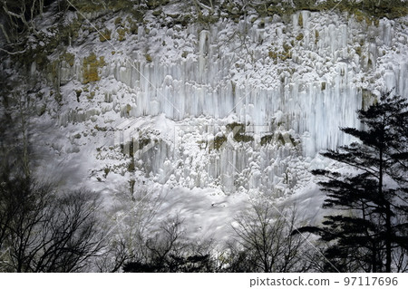 Illuminated mysterious and beautiful ice curtain (Shirakawa Ice Pillars, Kiso Town, Nagano Prefecture) 97117696