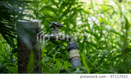 雜草叢生中的水龍頭和軟管 雜草叢生中的水龍頭和軟管 97117832