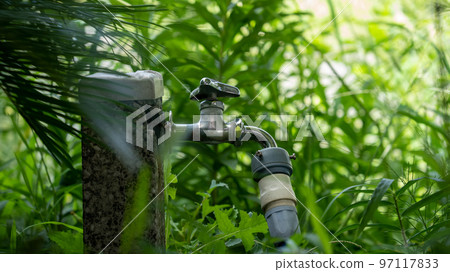 雜草叢生中的水龍頭和軟管 雜草叢生中的水龍頭和軟管 97117833