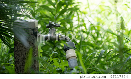 雜草叢生中的水龍頭和軟管 雜草叢生中的水龍頭和軟管 97117834