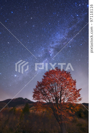 Milky Way & Great maple with autumn leaves and Mt. Norikura 97118116