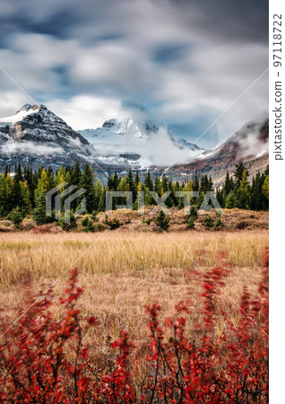 Mount Assiniboine with cloudy flowing on golden meadow with red leaves at national park Mount Assiniboine with cloudy flowing on golden meadow with red leaves at national park 97118722