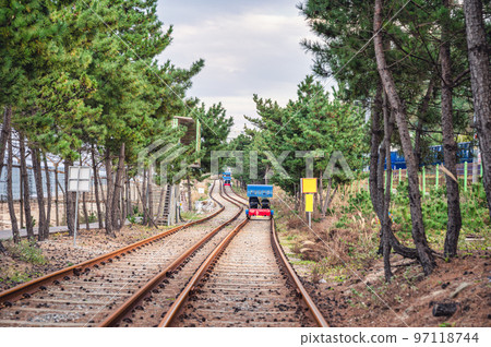 Activity of ocean rail bike on railway running through tree tunnel by the sea Activity of ocean rail bike on railway running through tree tunnel by the sea 97118744