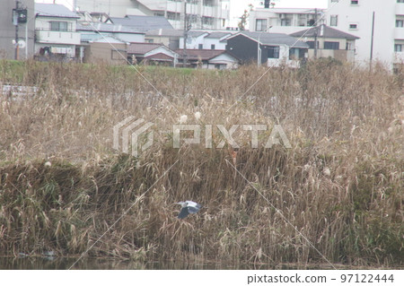 我沿著多摩川的岸邊散步 我沿著多摩川的岸邊散步 97122444