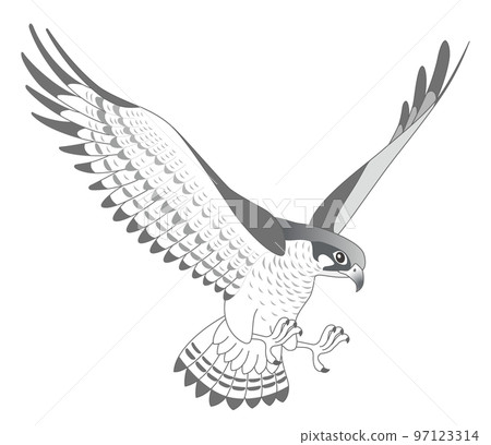 Hayabusa Peregrine Falcon Hayabusa Peregrine Falcon 97123314