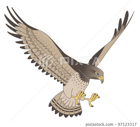 hawk eagle 97123317