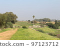 rural landscape of nature green and fresh field include palm tree under blue sky near shefayim 97123712