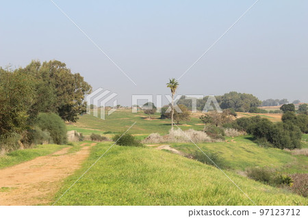 rural landscape of nature green and fresh field include palm tree under blue sky near shefayim rural landscape of nature green and fresh field include palm tree under blue sky near shefayim 97123712