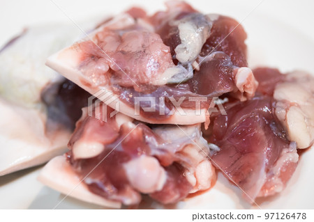 Fillet of soft-shelled turtle Fillet of soft-shelled turtle 97126478