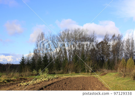 Autumn landscape with field and forest 97129338