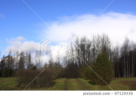 Autumn landscape with field and forest 97129339