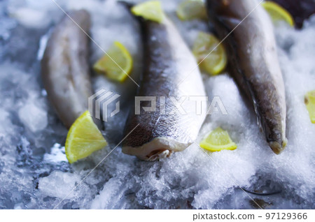 Fresh raw sea fish and lemon peces on ice surface. Fresh raw sea fish and lemon peces on ice surface. 97129366