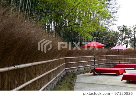 Kyoto, Japan, tea house, bamboo fence, and surrounding bamboo grove, bench covered with red cloth called floor bench, and red umbrella Kyoto, Japan, tea house, bamboo fence, and surrounding bamboo grove, bench covered with red cloth called floor bench, and red umbrella 97130826