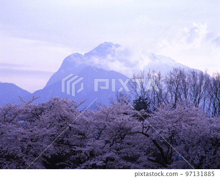 Cherry blossoms in full bloom and Mt. Kaikomagatake at Kiyohara Art Village Cherry blossoms in full bloom and Mt. Kaikomagatake at Kiyohara Art Village 97131885