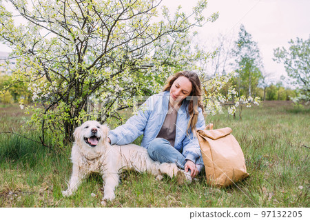Young beautiful woman and her golden retriever dog having fun in spring 97132205