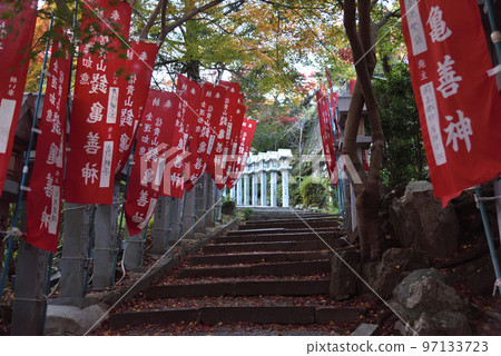 Momiji at Chogosonshiji Temple Momiji at Chogosonshiji Temple 97133723