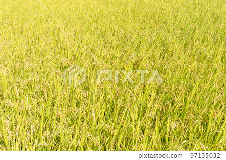 countryside 97135032