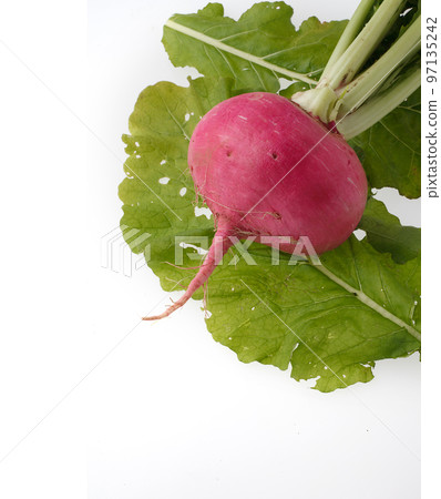 Red turnip white background 97135242