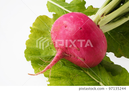 Red turnip white background Red turnip white background 97135244