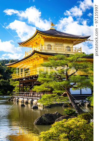 Scenic view of Kinkaku-ji shrine golden temple building view at fall 97135997