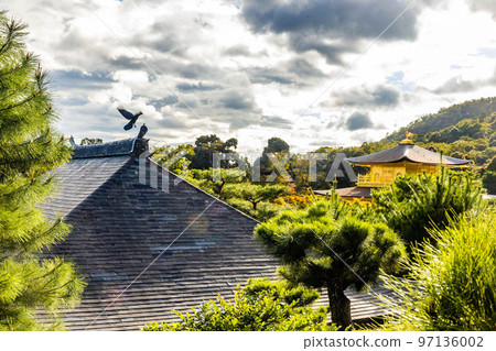 Scenic view of Kinkaku-ji shrine golden temple rooftop view at fall Scenic view of Kinkaku-ji shrine golden temple rooftop view at fall 97136002