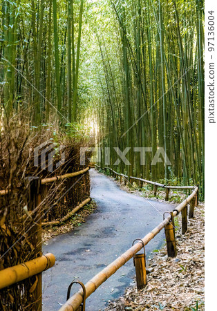 Arashiyama bamboo forest tourist park attraction Arashiyama bamboo forest tourist park attraction 97136004