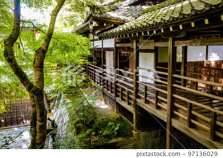 Beautiful wooden interior of ancient Eikando Temple 97136029