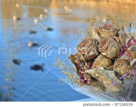 A river where ducks swim and dried flowers 97136039
