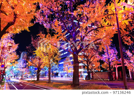 [Osaka Prefecture] Midosuji Illumination 97136246