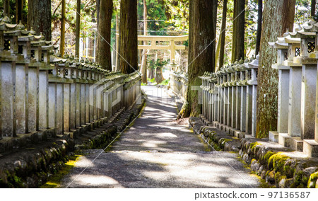 Japanese stone toro lanterns at shrine entrance 97136587