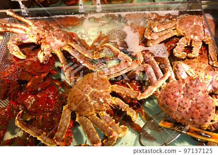 北海道：紅帝王蟹在鮮魚店排隊 97137125
