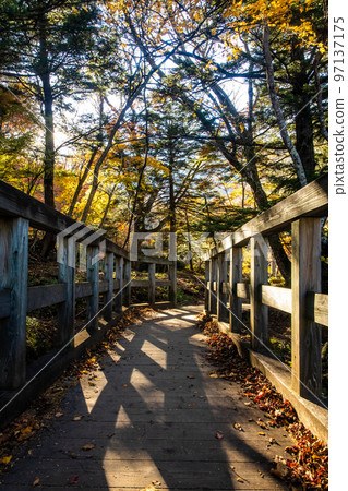 Scenic view of Yunoko lake bridge at fall with colorful trees Scenic view of Yunoko lake bridge at fall with colorful trees 97137175