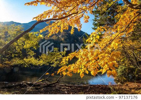 Scenic view of Yunoko lake at fall with colorful trees at sunset 97137176