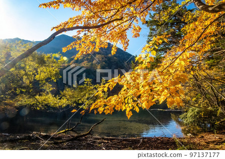 Scenic view of Yunoko lake at fall with colorful trees at sunset Scenic view of Yunoko lake at fall with colorful trees at sunset 97137177