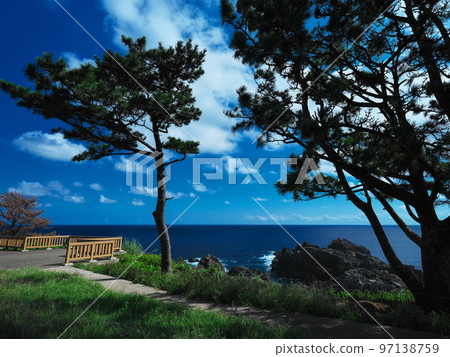 At the southern tip of Shionomisaki, you can see the observatory and the Pacific Ocean from the pine forest at the southernmost tip of Honshu. At the southern tip of Shionomisaki, you can see the observatory and the Pacific Ocean from the pine forest at the southernmost tip of Honshu. 97138759