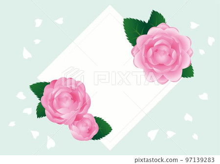 乙女山茶花相框卡片背景圖素材 97139283
