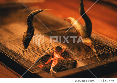 Ayu's Turtle Baki 97139776