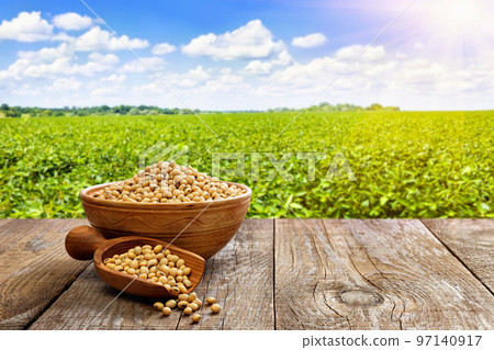 soybeans in ceramic bowl and wooden scoop on table with green field as background soybeans in ceramic bowl and wooden scoop on table with green field as background 97140917