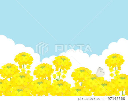 風景與盛開的油菜花_背景框架 風景與盛開的油菜花_背景框架 97142368