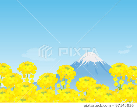 富士山的油菜花田和美麗的風景 97143036