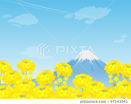 富士山的油菜花田和美麗的風景 97143041