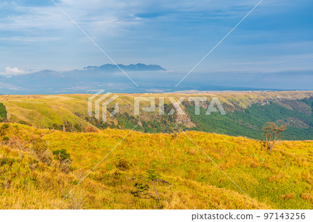 Autumn leaves of grass from the Aso Skyline Observatory (Aso District, Kumamoto Prefecture) 97143256