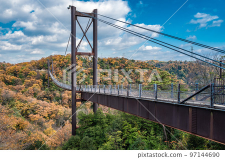 Hoshi no Swing Suspension Bridge Fumin no Mori Hoshida Enchi Katano City, Osaka Prefecture Hoshi no Swing Suspension Bridge Fumin no Mori Hoshida Enchi Katano City, Osaka Prefecture 97144690