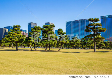 Autumn Tokyo Imperial Palace Gaien Square in front of the Imperial Palace and office buildings 97144803