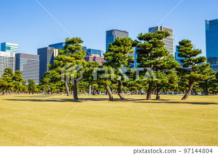 Autumn Tokyo Imperial Palace Gaien Square in front of the Imperial Palace and office buildings 97144804