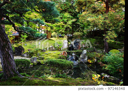 Japanese garden Japanese garden 97146348