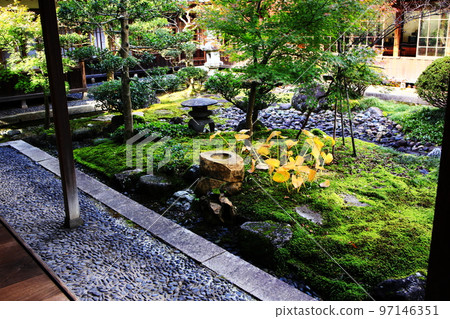 Japanese garden Japanese garden 97146351
