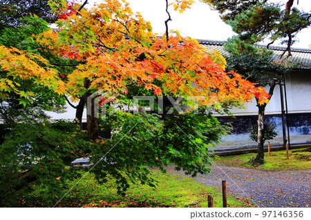 Japanese garden Japanese garden 97146356