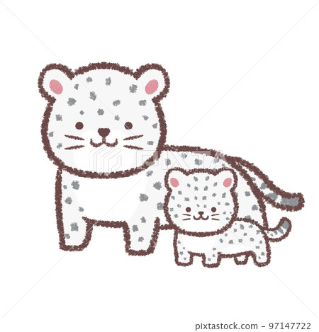 Snow leopard parent and child 97147722
